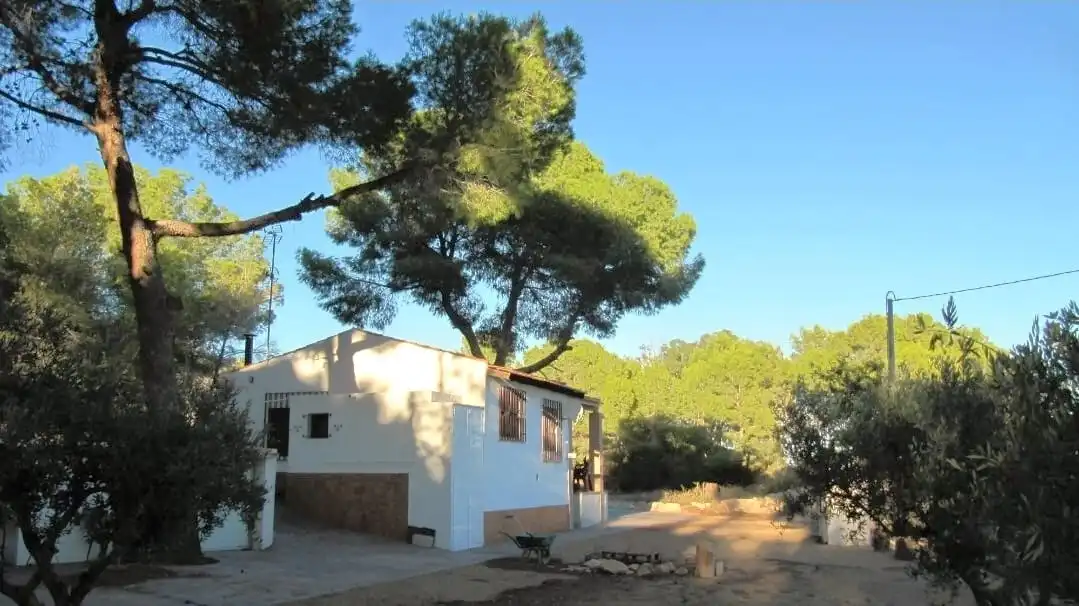Terreno residenziale in vendita a Campo de Murcia, imagen 3