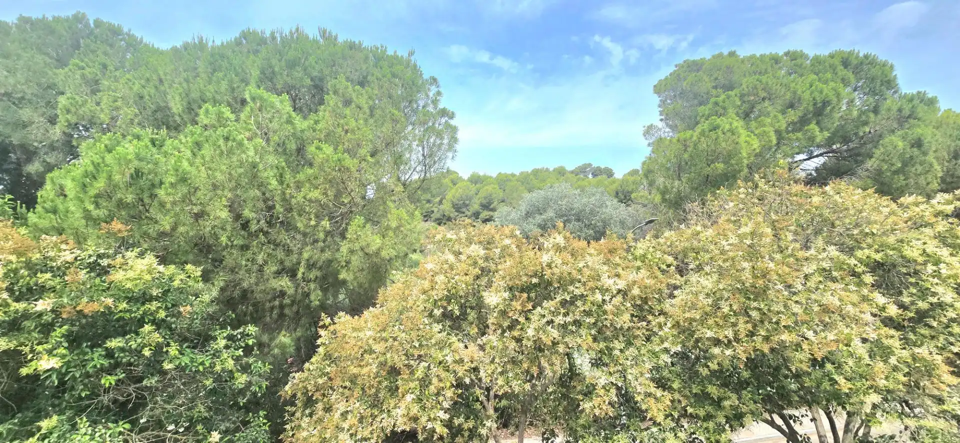 Terraced house with pool for sale in Urbanizacion GuadalparkII, imagen 43
