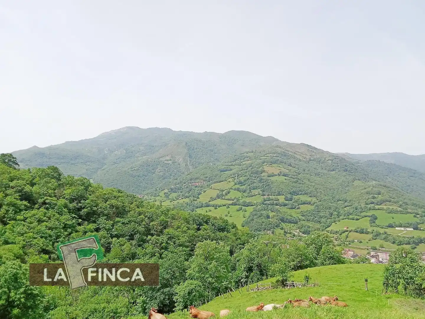 Residencial en venta en Lena