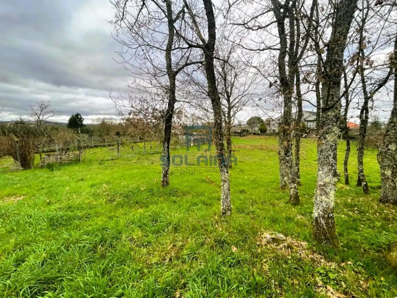 Terreni e lotti in vendita a San Cibrao das Viñas, imagen 7