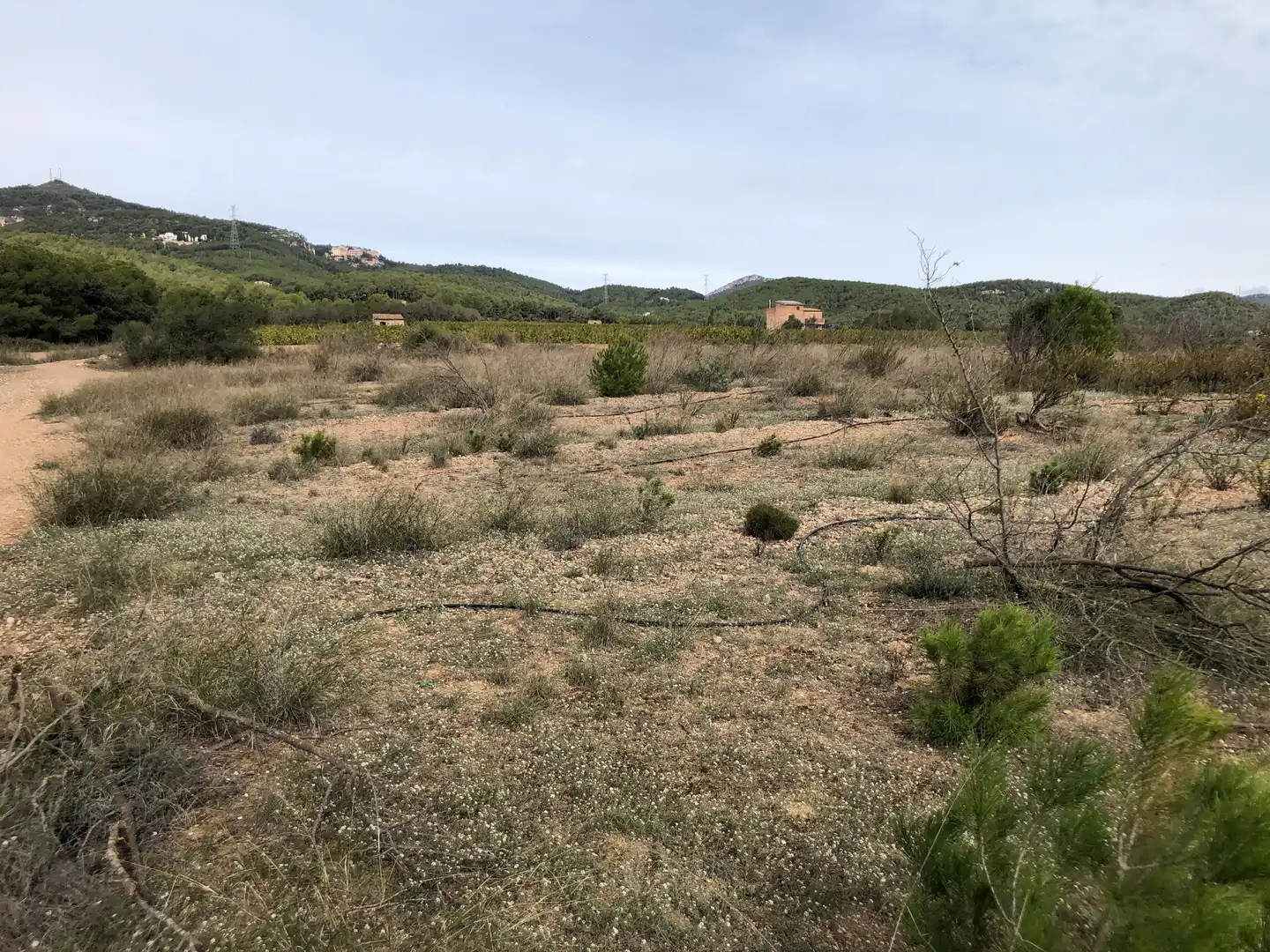 Terreno rústico en venta en Partida Alborada 1, imagen 9