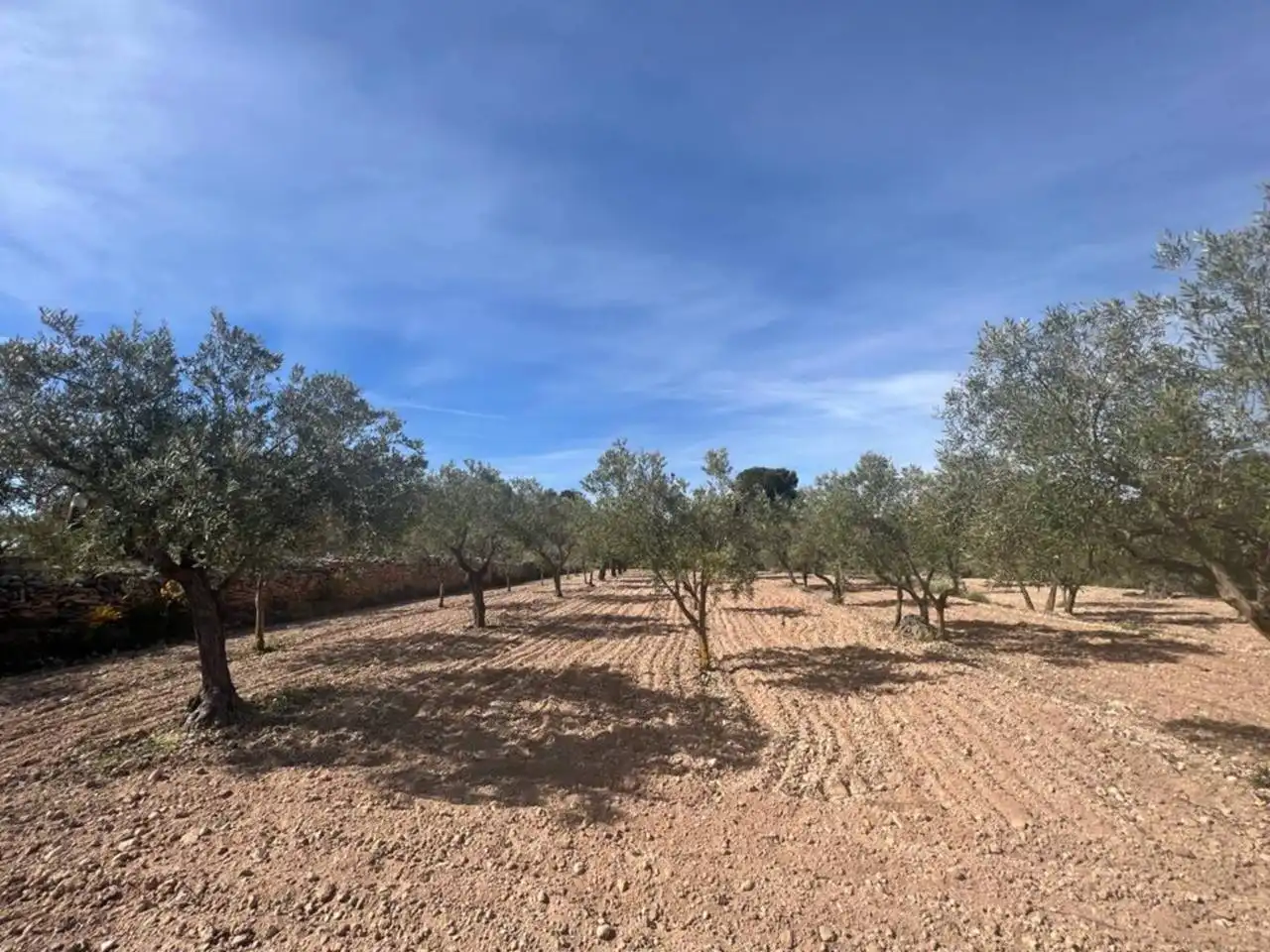 Chalet con jardín en venta en Calle Poligono, imagen 60