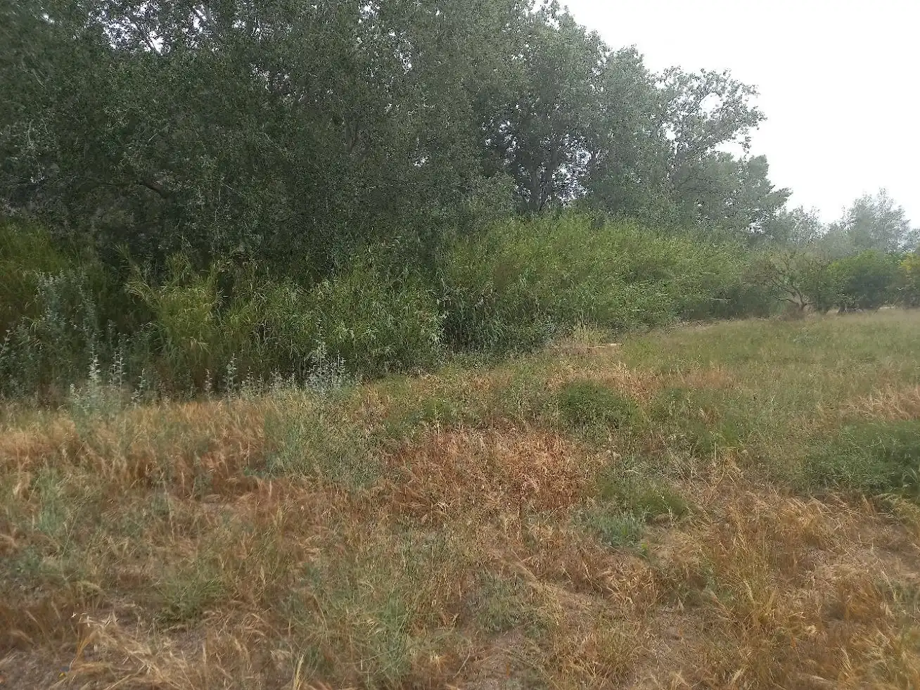 Terrenys i solars en venda a Miravet, imagen 2