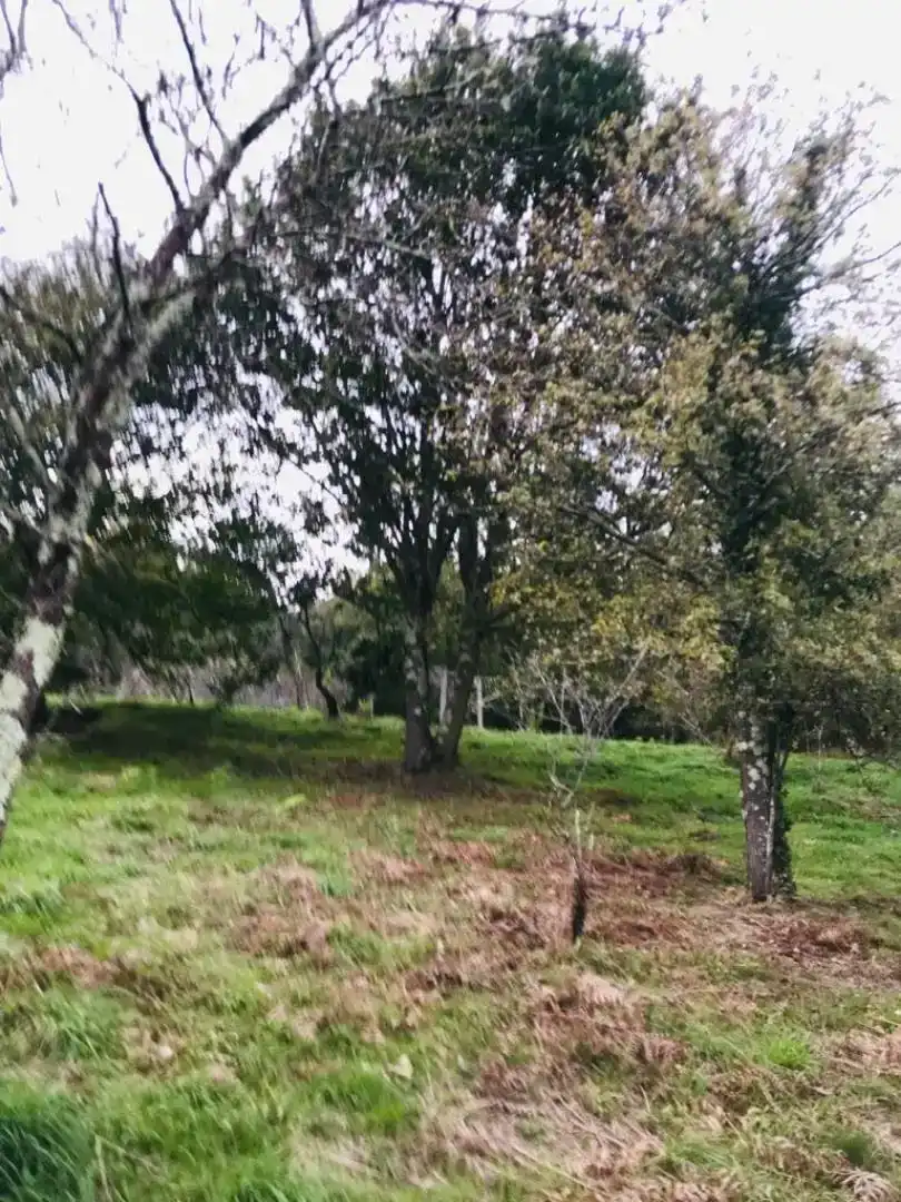 Casa o chalet en venta en Lugo con Jardín privado, Amueblado y Horno