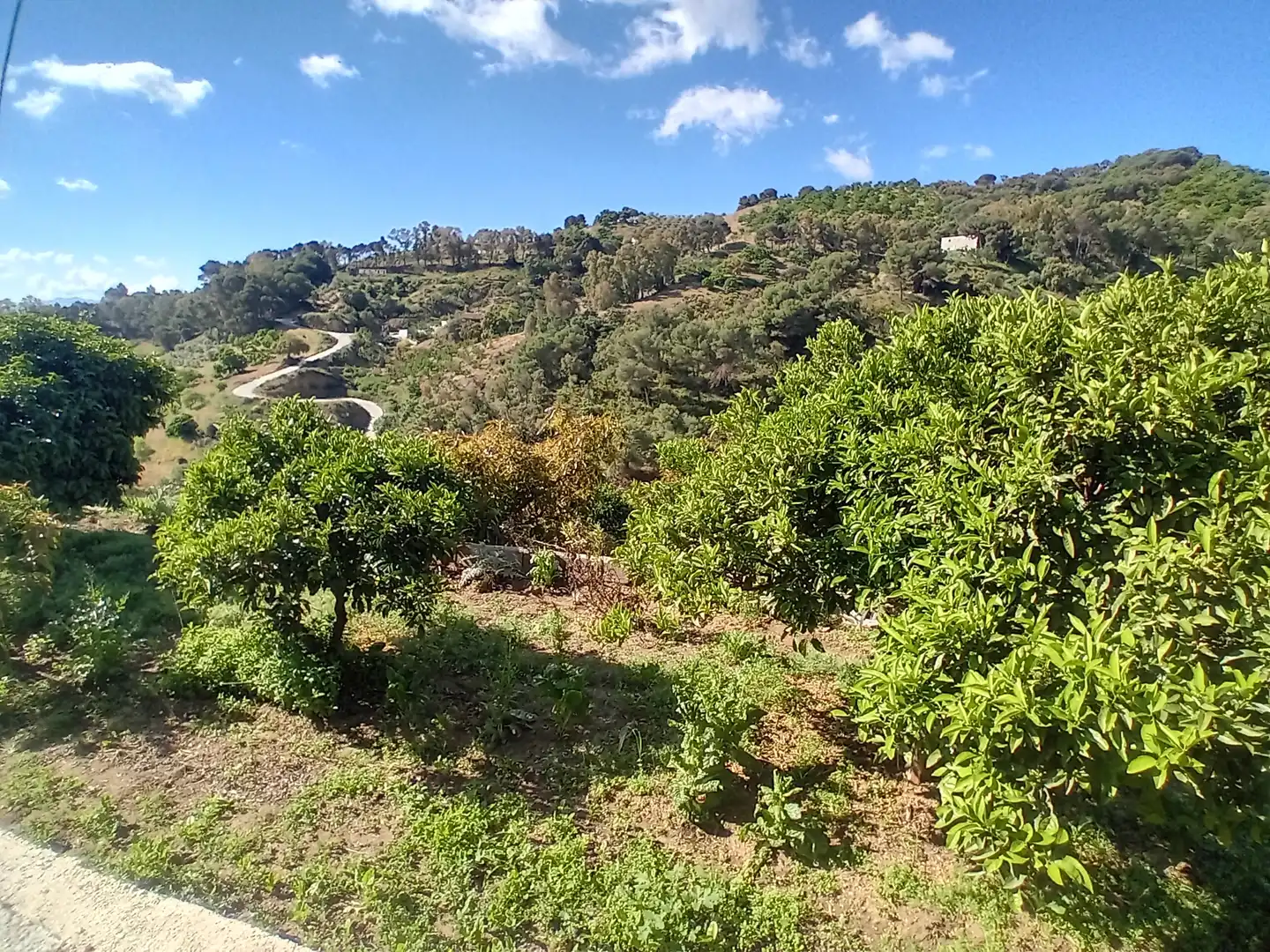 Casa rústica en venda a Yunquera, imagen 27