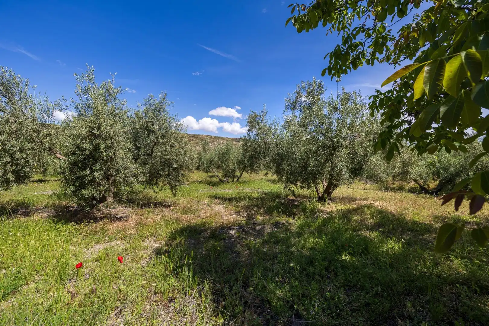 Detached house for sale in Lugar FUENTE BLANCA 7PF2, imagen 56