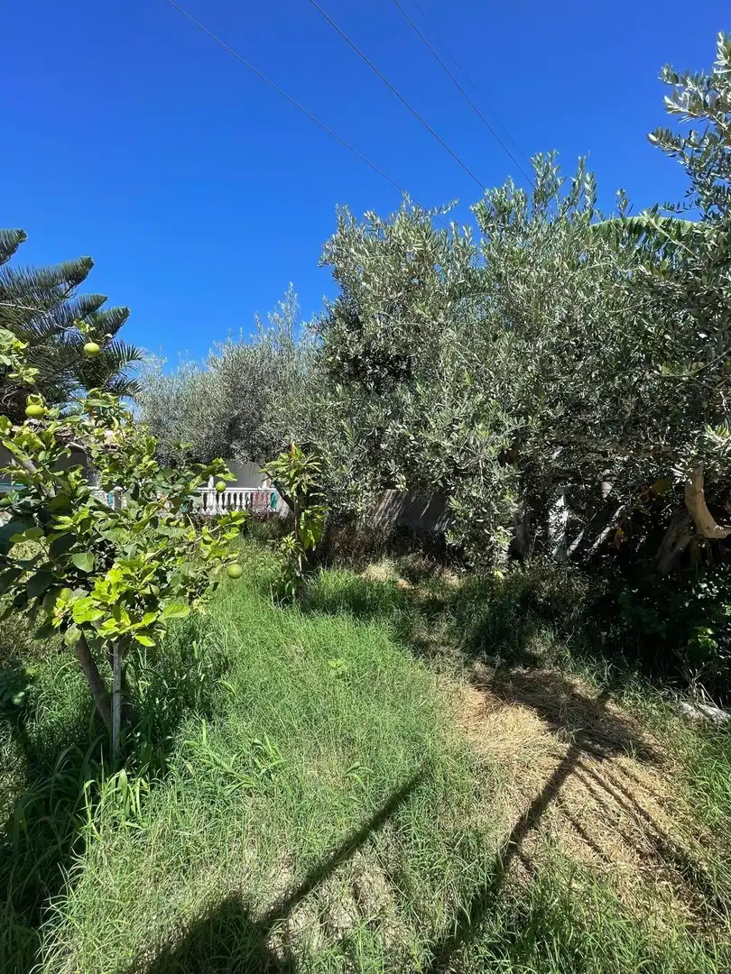 Finca rústica en venda en Motril amb Terrassa i Piscina