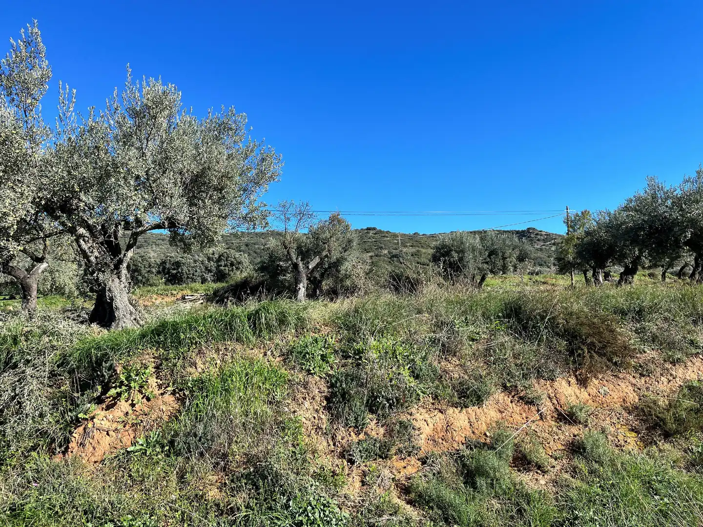 Terreni e lotti in vendita a Alquézar, imagen 3