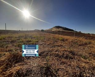 Land for sale in Magacela