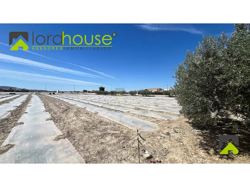 Casa o chalet en venta en Lorca