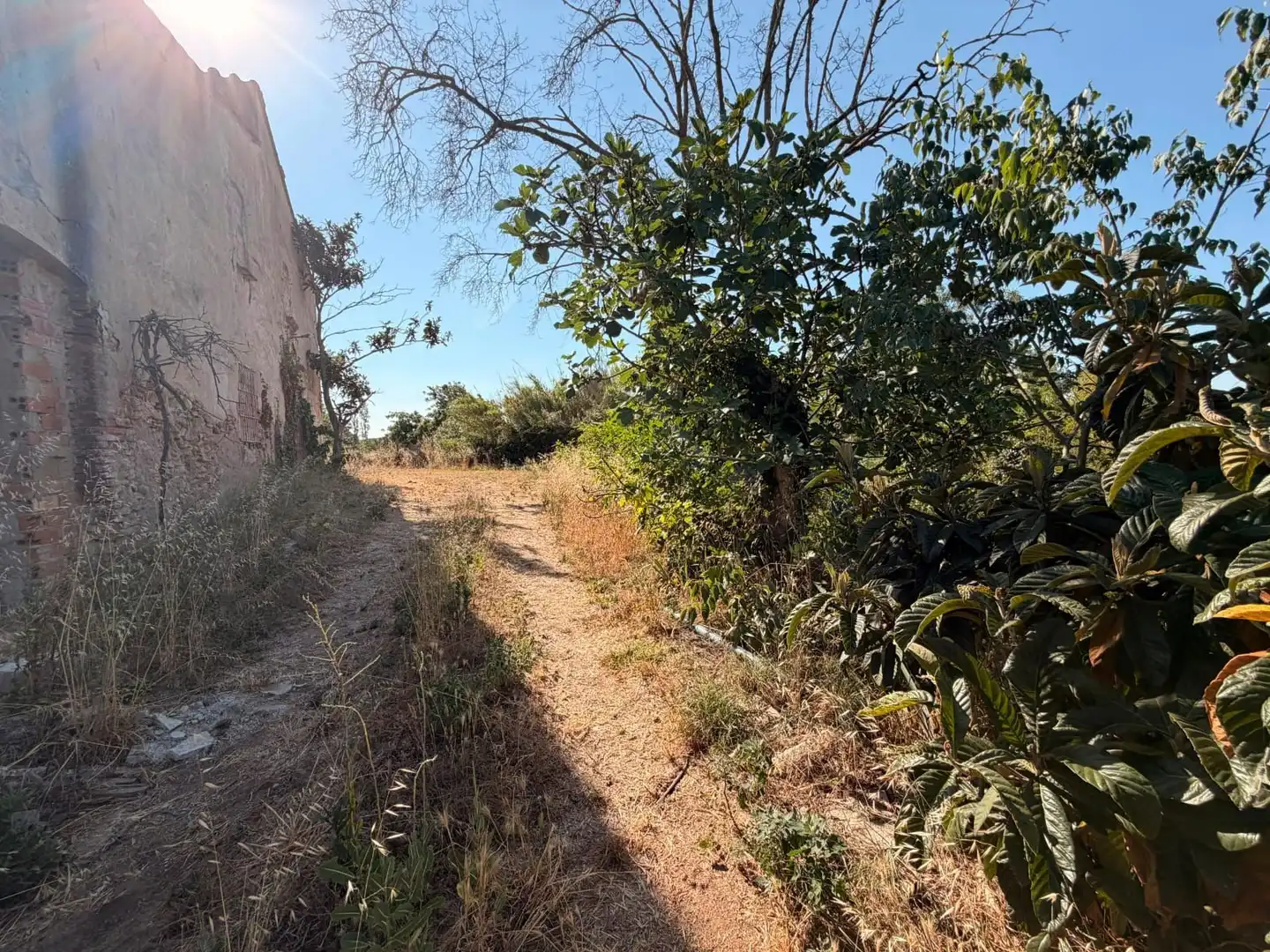 Terreno rustico in vendita a Tordera pueblo, imagen 13