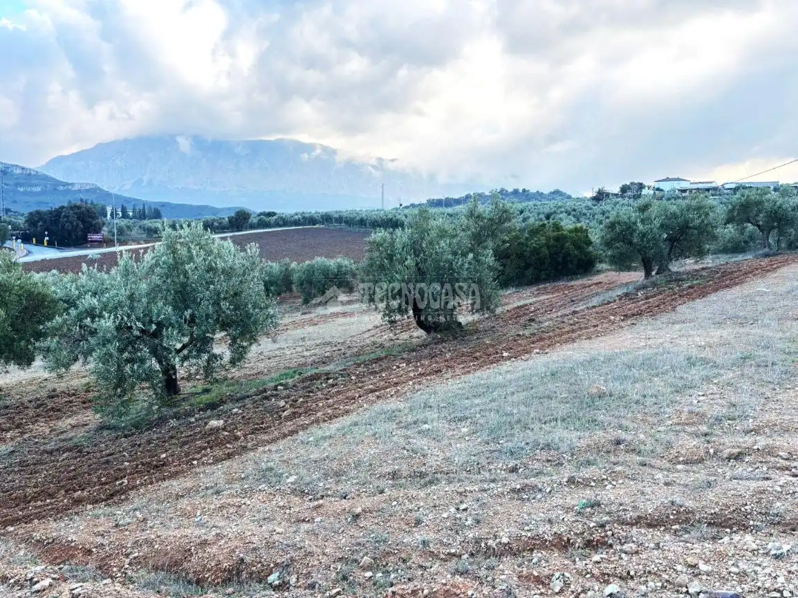 Terreni e lotti in vendita a Centro, imagen 5