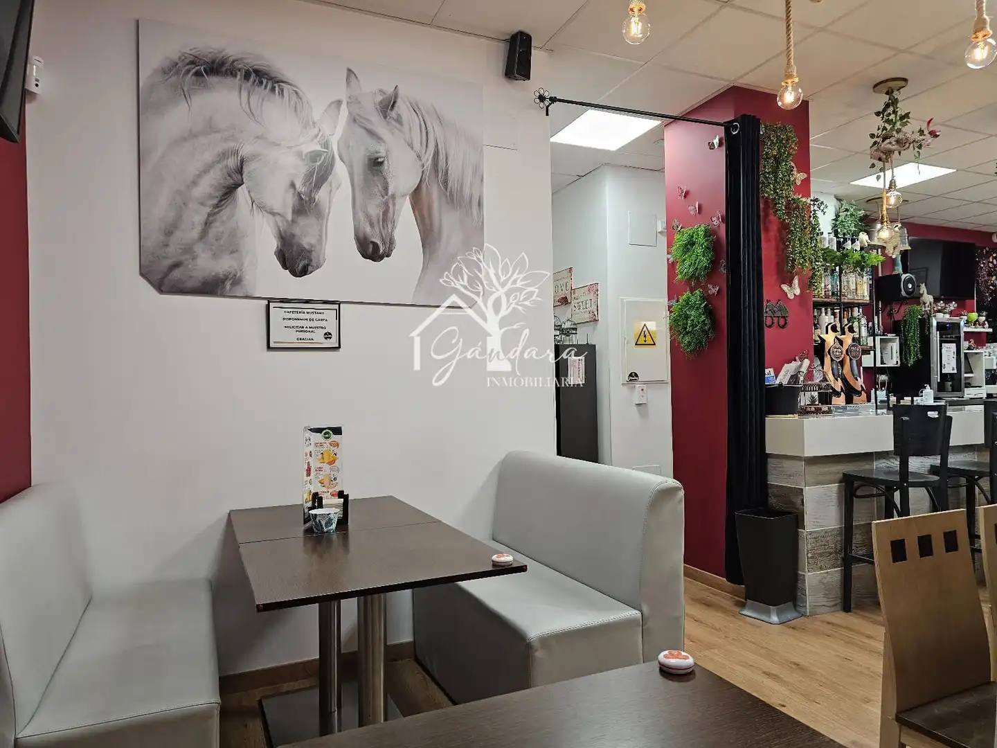 Local comercial en venta en Porta Nova, imagen 6