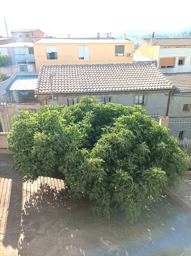 Xalet amb terrassa en venda a Horcajo de los Montes, imagen 27