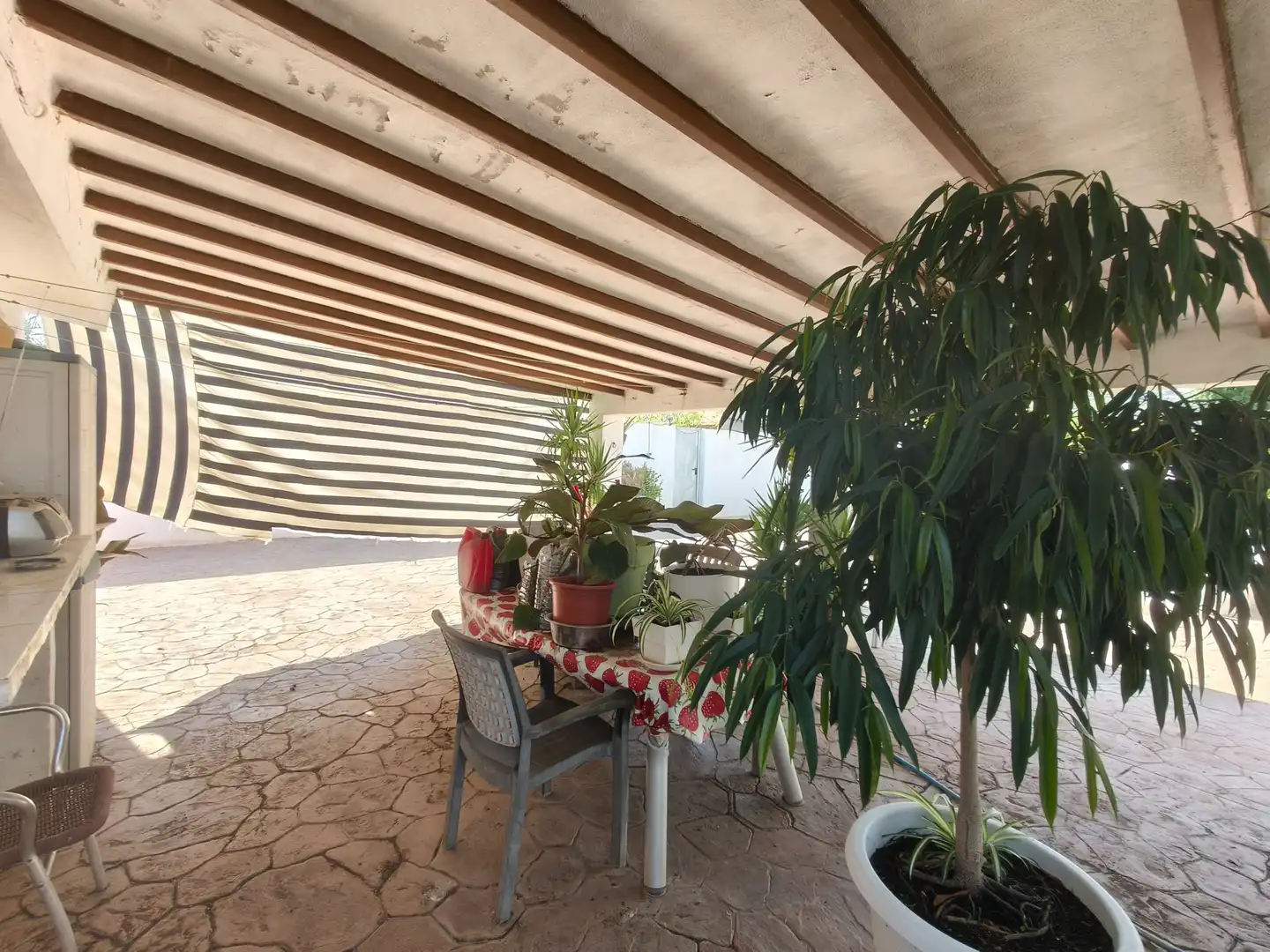 Terraza de Casa o chalet en venta en Montroi / Montroy con Jardín privado, Terraza y Trastero
