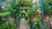 Jardí de Casa o xalet en venda en Cartaya amb Aire condicionat, Calefacció i Piscina