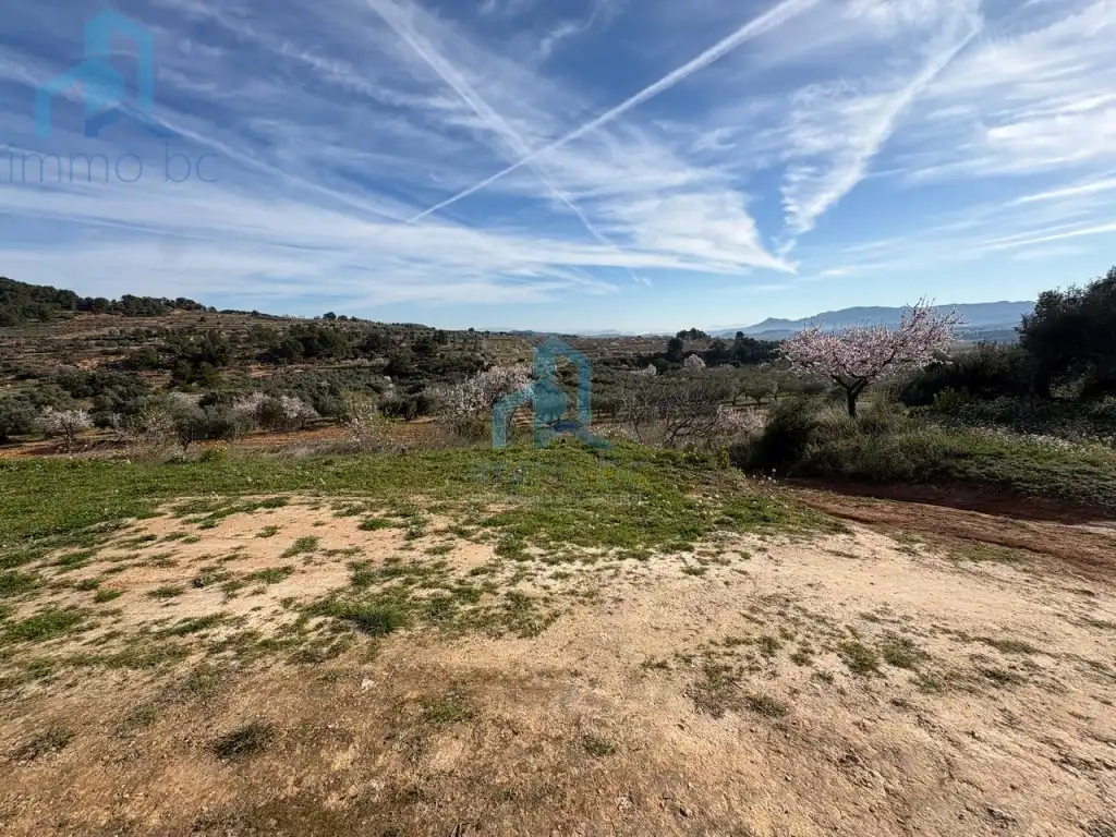 Finca rústica en venta en Gandesa