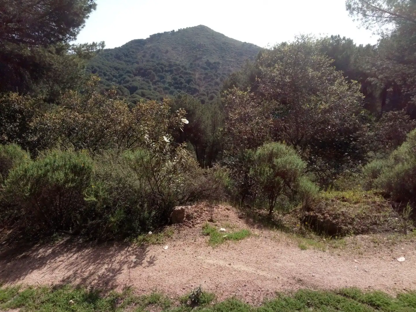 Lands and plots for sale in Periurbano Oeste - Sierra, imagen 5