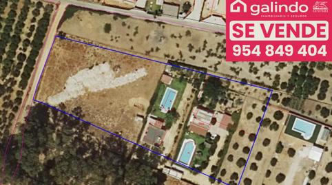 Foto 2 de Finca rústica en venda a Paradas, Sevilla