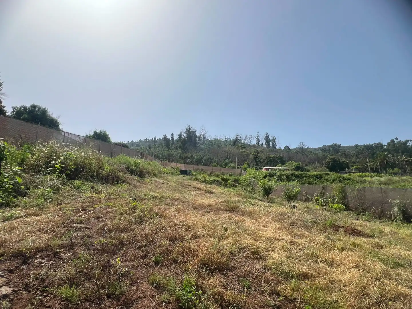 Terreno rústico en venta en Carretera Nueva Corujera, imagen 11