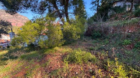 Terreno con gran potencial en el Racó del Bosc – Bigues i Riells, imatge 4