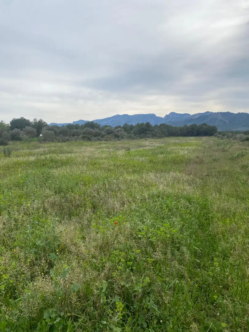 Lands and plots for sale in Ginestar, imagen 4