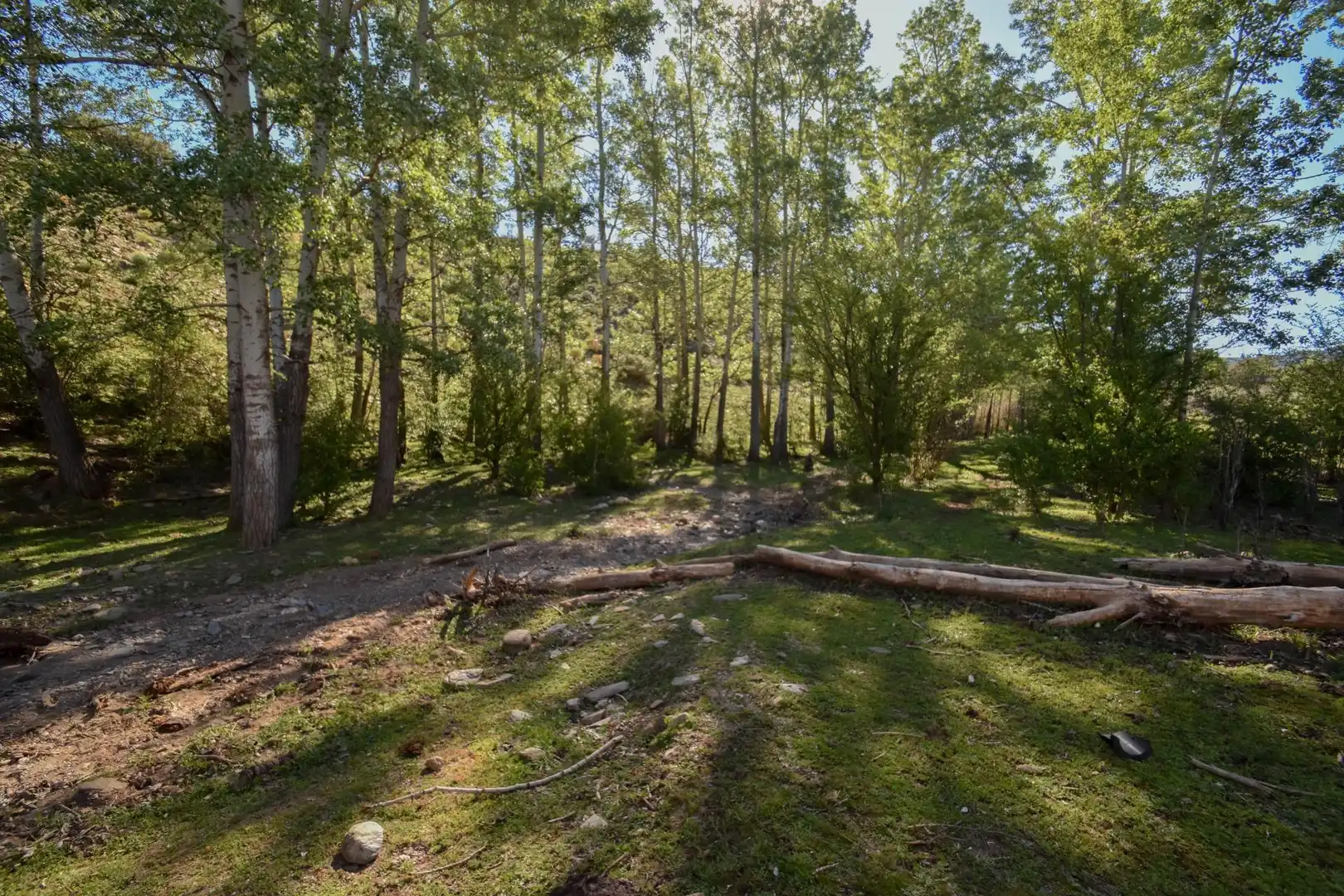 Terreno en venta en Paraje de las Perdices, Lugros