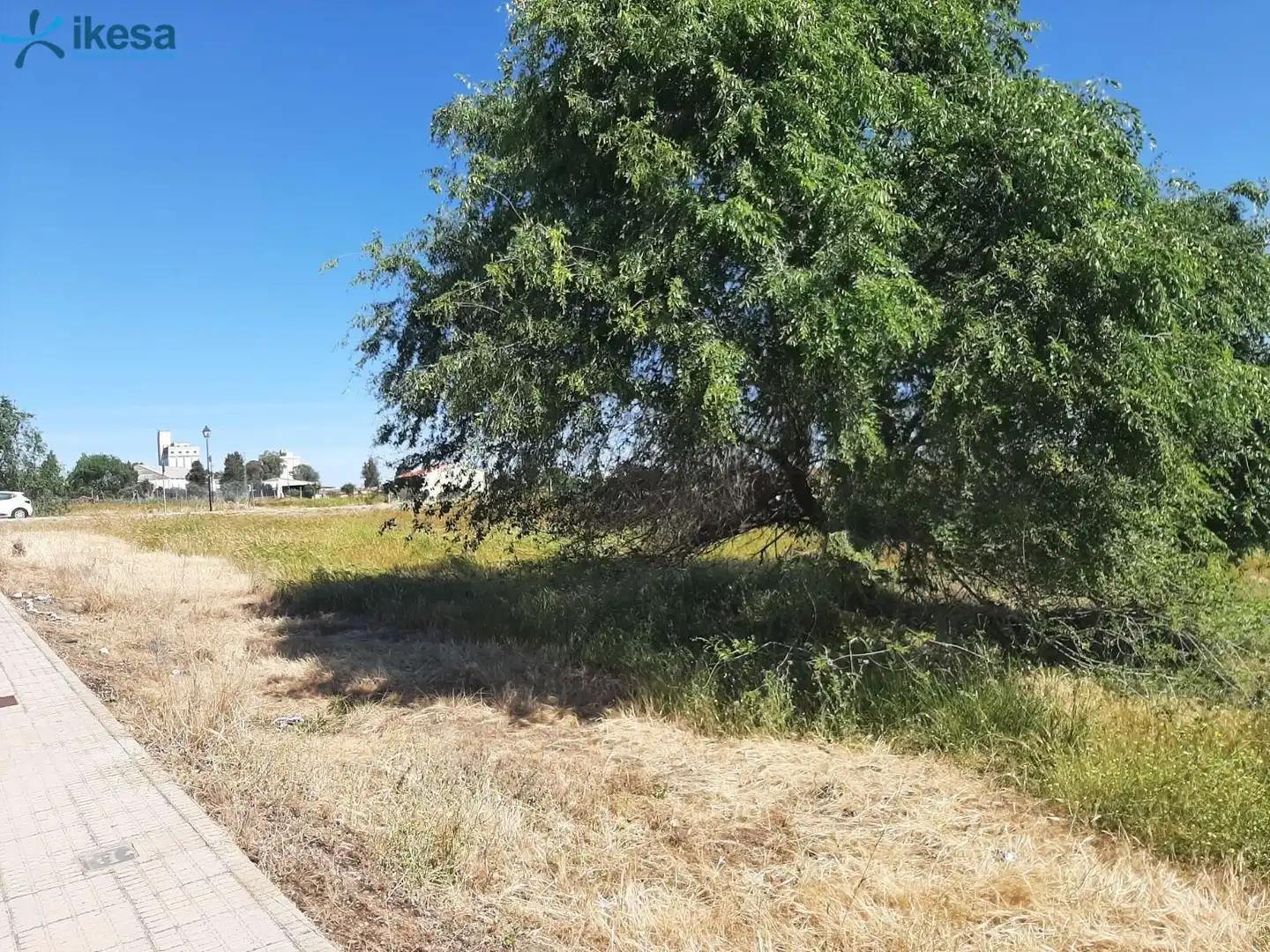 Terreni e lotti in vendita a Azuaga, imagen 4