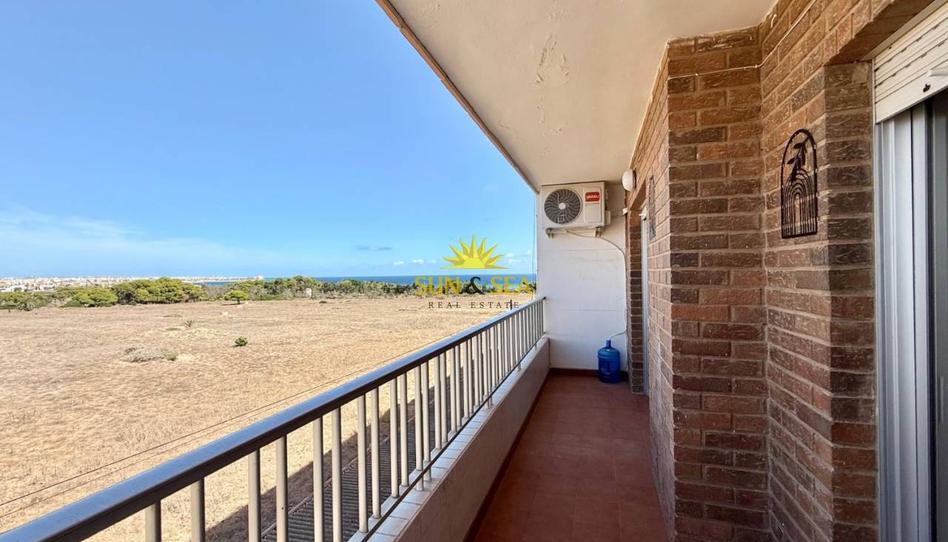 Foto 1 de Apartamento de alquiler en Punta Prima, Alicante