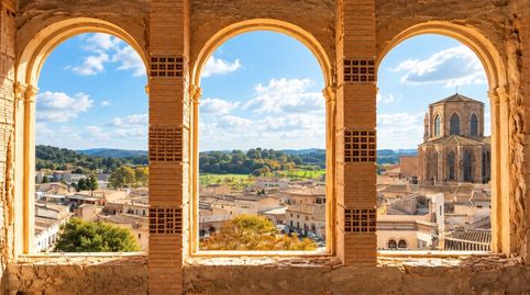 Palacete histórico con jardín y torreón en el casco antiguo de Sineu, imagen 4