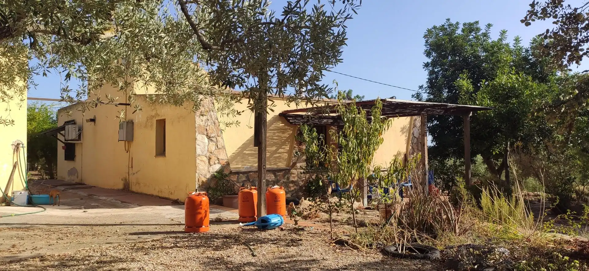 Finca rústica en venda a Eucaliptus - Poble Nou del Delta