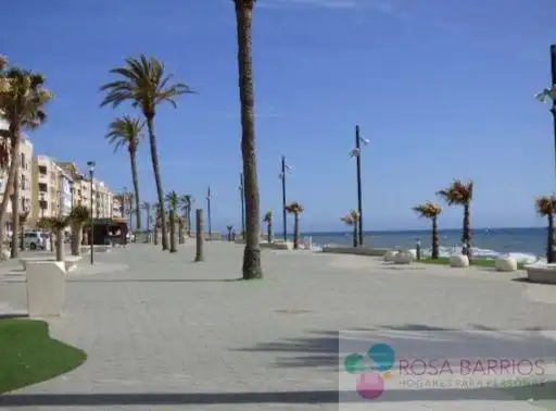 Estudio en venta en San Luis de Sabinillas