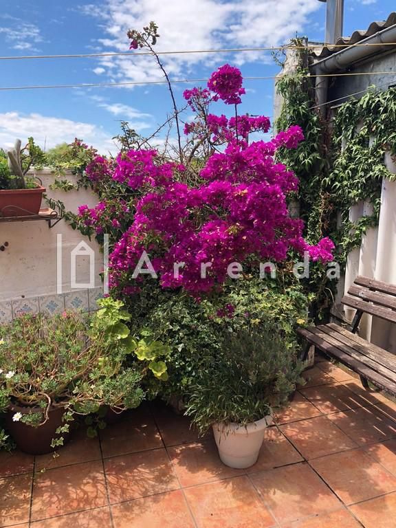 Single-family semi-detached for sale in Adarzo, Alisal - San Román