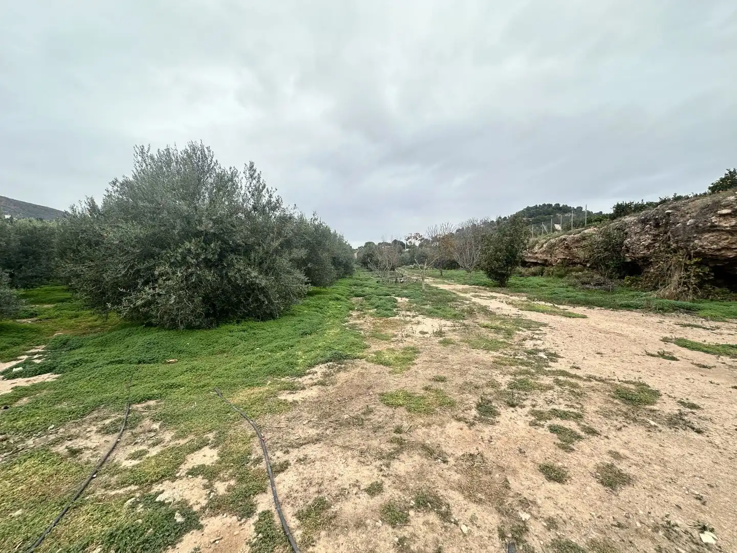 Wohnbaugrundstück zum Verkauf in Petrés, imagen 18