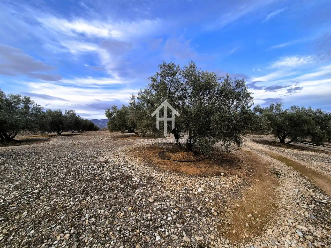 Terreni e lotti in vendita a Huétor Tájar, imagen 6