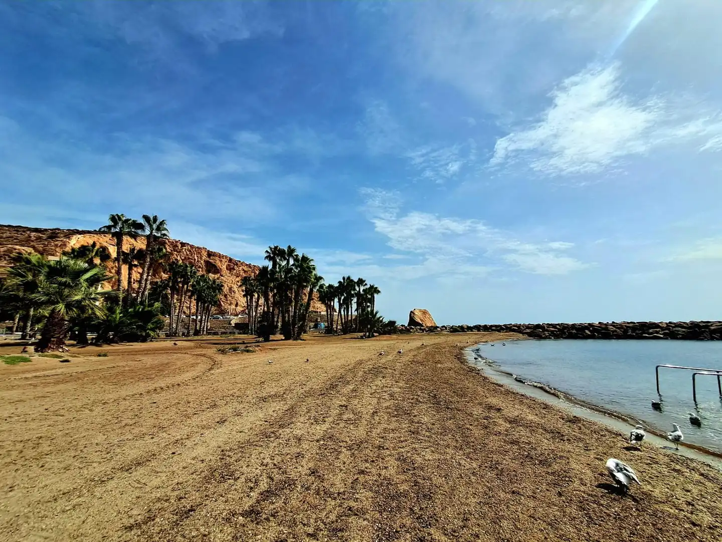 Mini appartamento con terrazza in vendita a Casco Antiguo, imagen 48