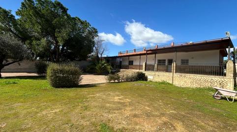 Photo 2 of Houses for sale in La Hacienda - Nueva Andalucía, Dos Hermanas