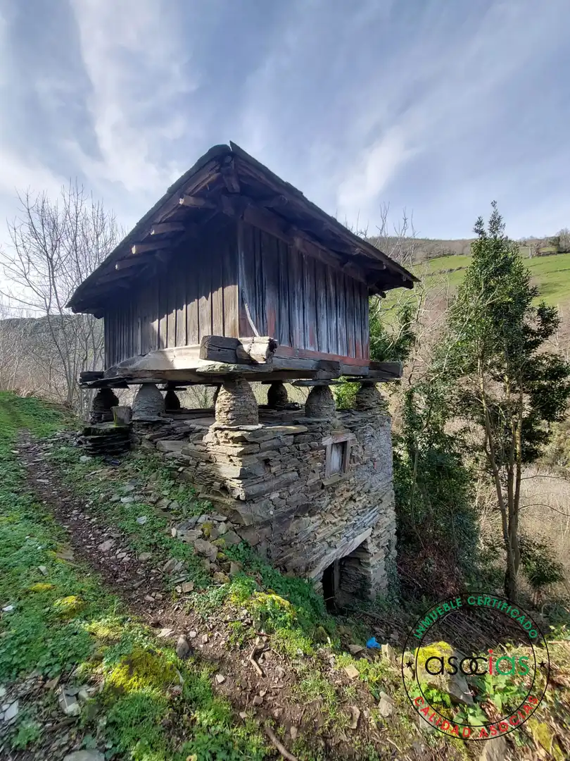 Haus mit Garten zum Verkauf in Cangas del Narcea - CS CIELLA, imagen 22
