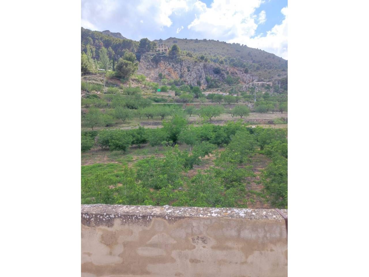 Casa o xalet en venda en Confrides amb Terrassa