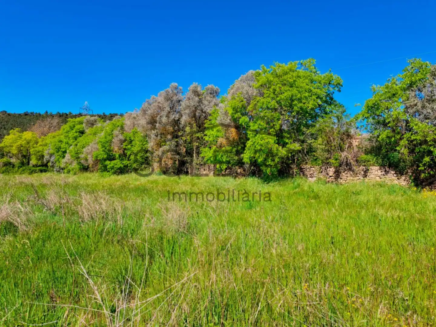 Terreno en venta en Salàs de Pallars