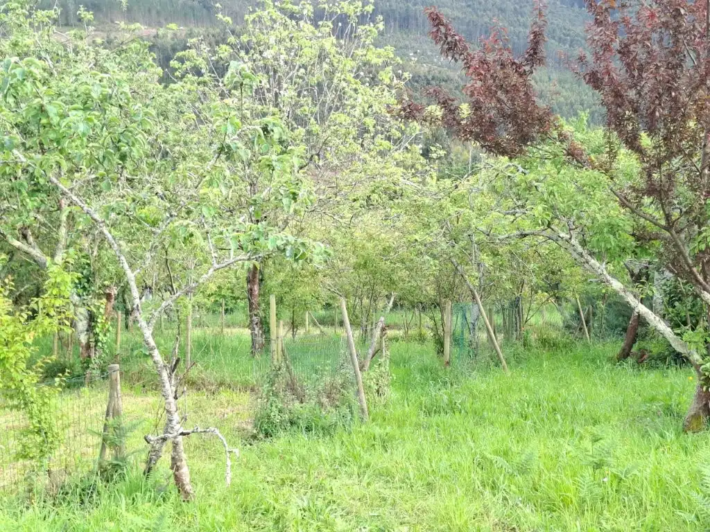 Casa o chalet en venta en Viveiro con Jardín privado, Terraza y Trastero
