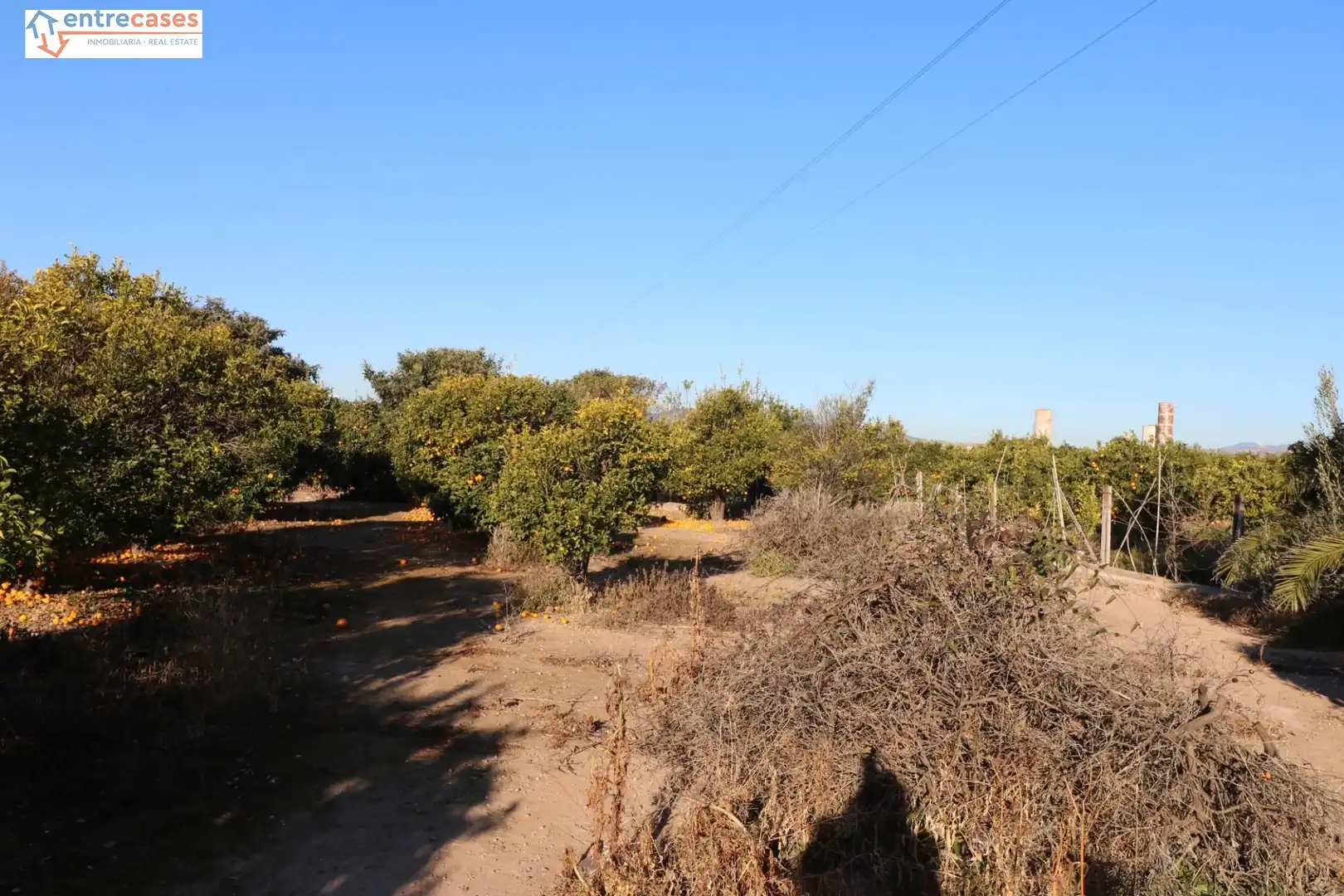 Rural land for sale in Canet d'En Berenguer, imagen 12