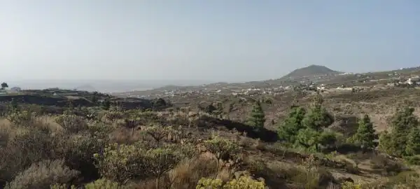 Land for sale in Granadilla de Abona