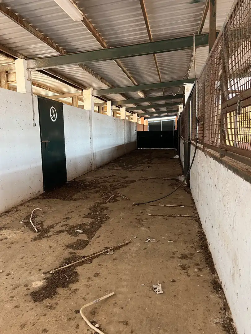 Land for sale in Calle Hernán Cortés, 20, Jaraicejo