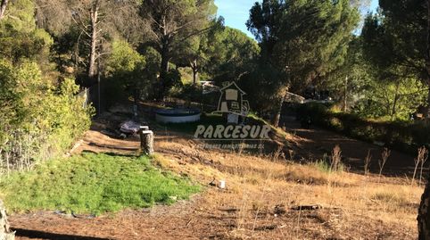 ZONA TORRE HORIATRASSIERRA Parcela de terreno con pozo comunitario, piscina y remolque tienda., imatge 3
