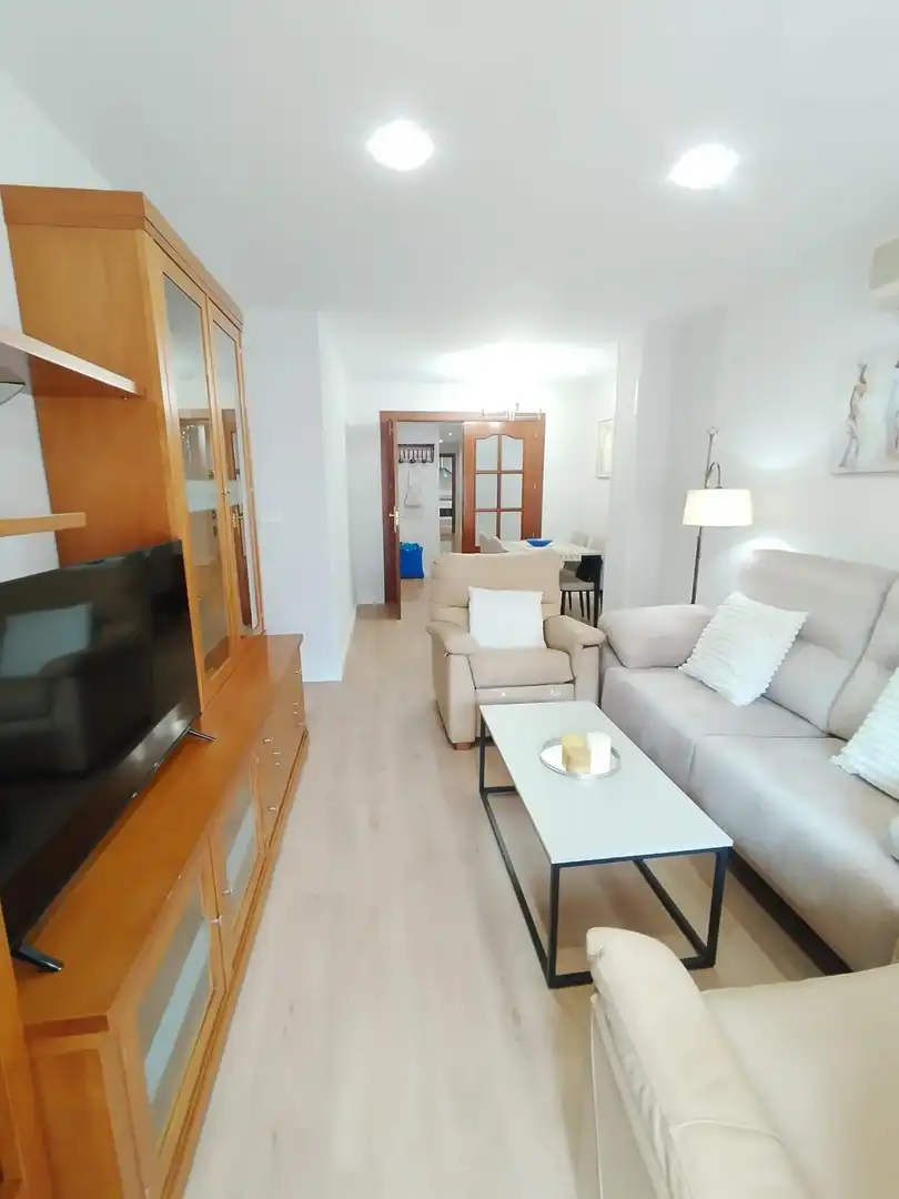 Living room of Flat for rent in Granada  with Air Conditioner, Heating and Furnished