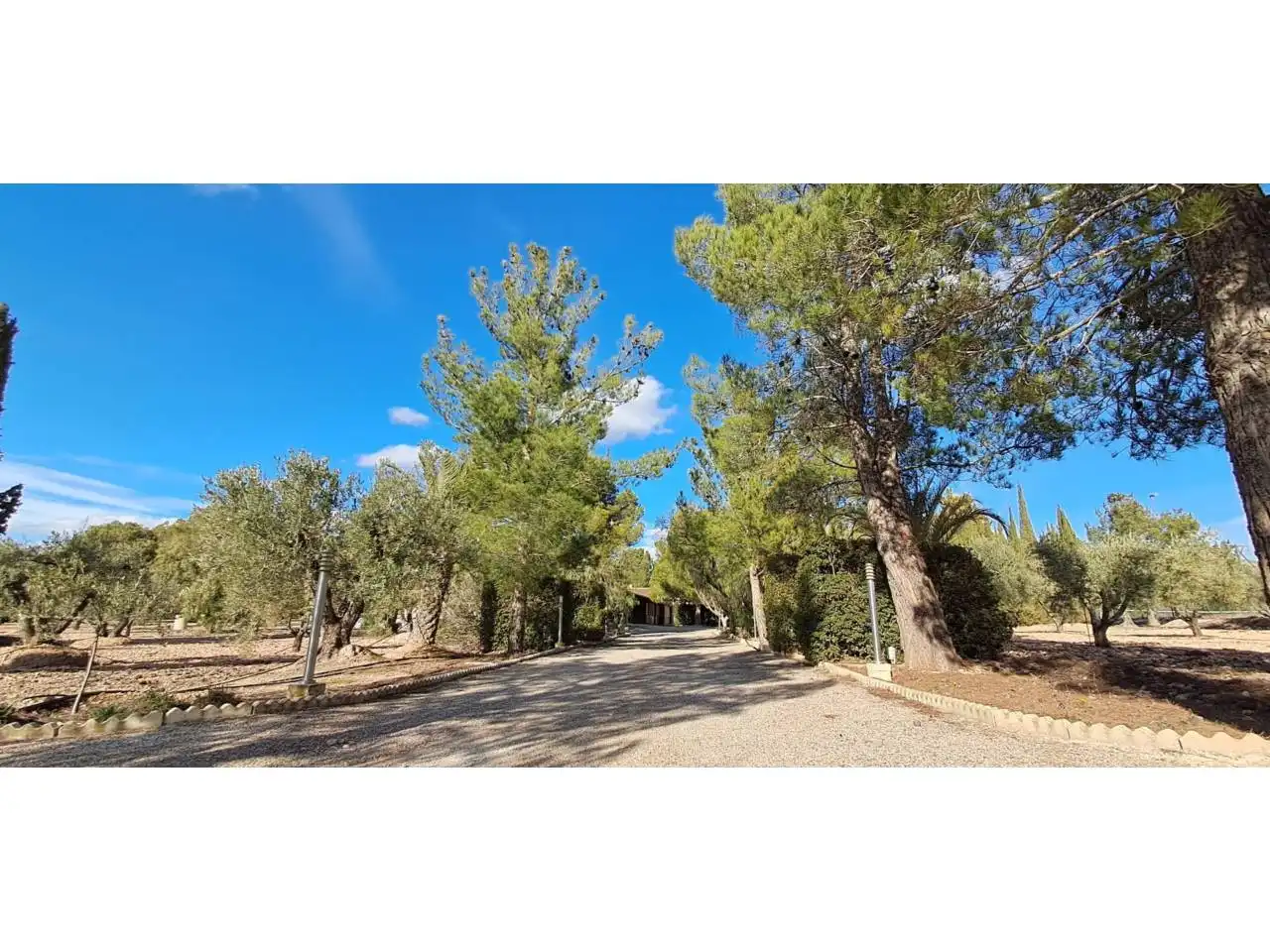 Chalet con piscina en venta en Jumilla, imagen 36