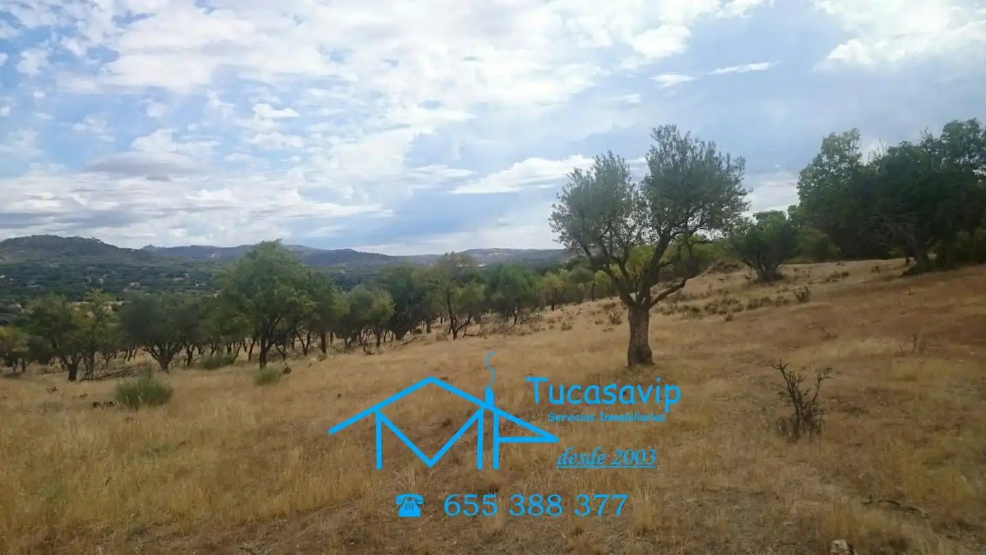 Rural land for sale in Pelayos de la Presa, imagen 7