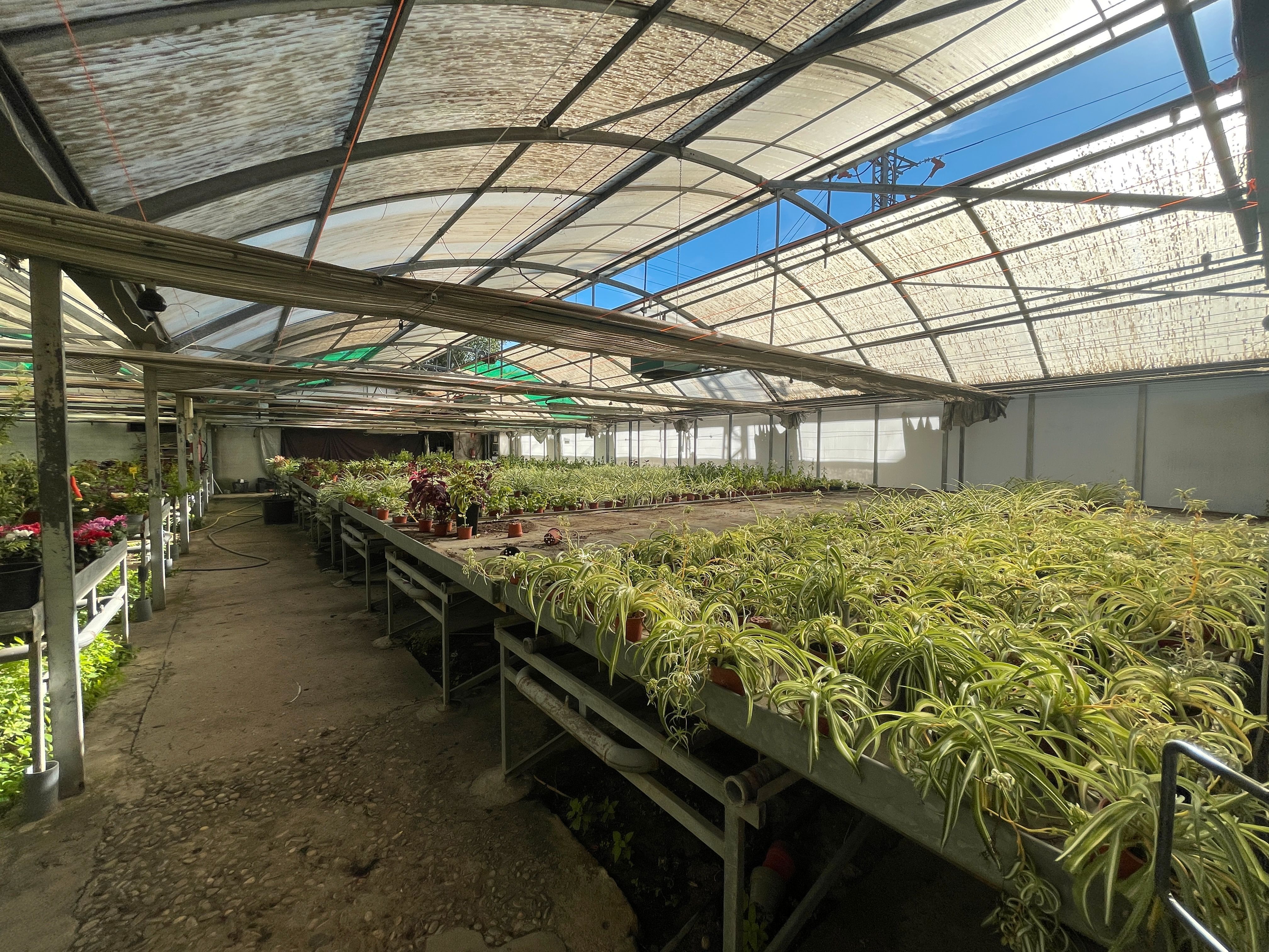 Terreno industrial en venta en Avenida de Madrid, Reyes Católicos