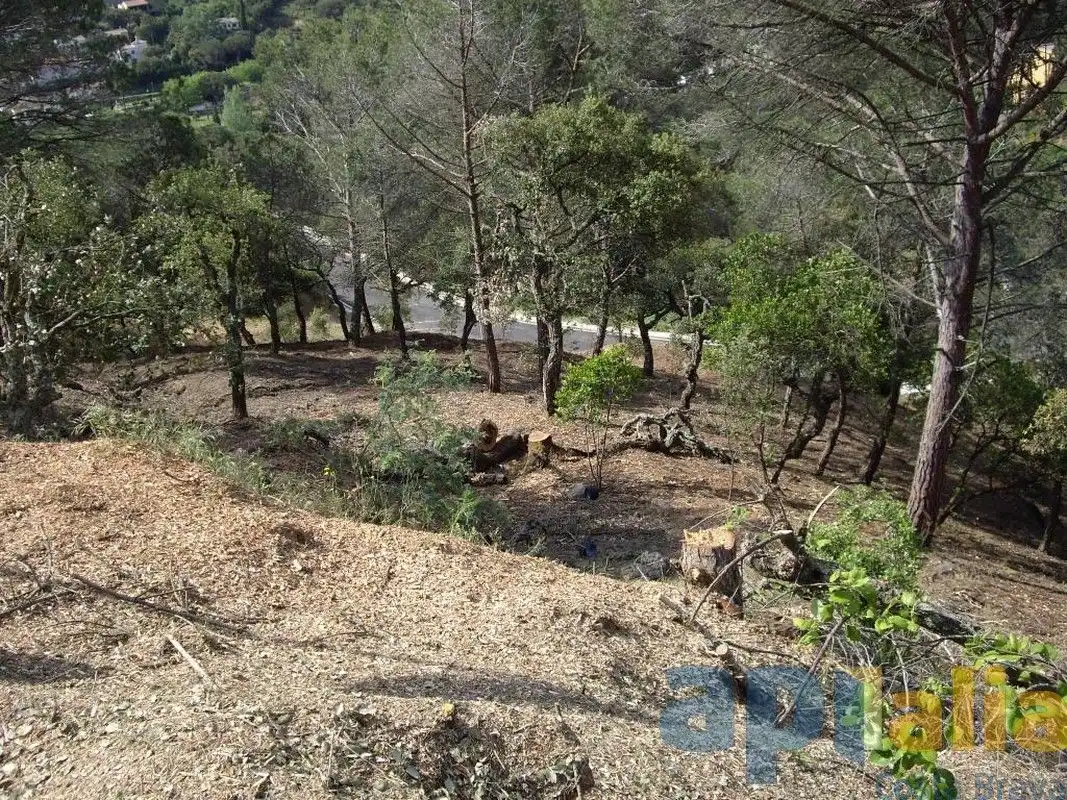 Residential land for sale in Carrer Alzina, imagen 6